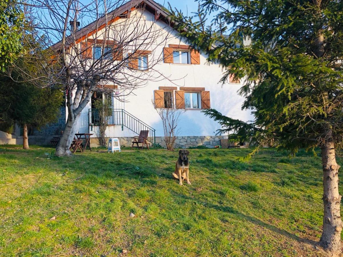 Casa Con Jardin, 4 Habitaciones Y Mucho Encanto En Cercedilla Exteriör bild